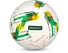 Oecoplan Volleyball
