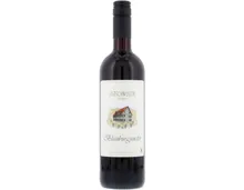 Ostschweizer Blauburgunder Beerli (2023) – Rotwein, Schweiz (0.75l)