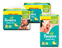 pamper angebot pamper angebot