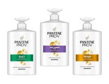 PANTENE PRO-V Shampoo