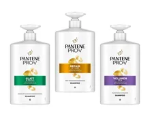 Pantene Pro-V Shampoo