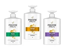 PANTENE PRO-V Shampoo