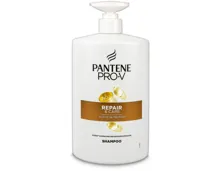 Pantène Shampoo Repair & Care