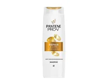 Pantene Shampoo / Spülung