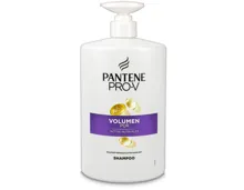 Pantène Shampoo Volumen Pur