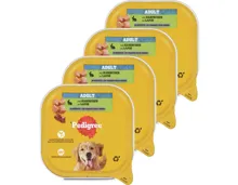 Pedigree Hundefutter Kaninchen 4x 300g