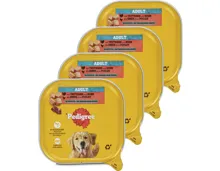 Pedigree Hundefutter Terrine Truthahn & Huhn 4x 300g