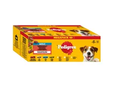Pedigree Pouch in Gelée 40 x 100 g