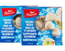 Pelican Jakobsnüsse roh, MSC