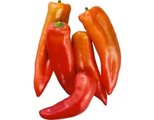 Peperoni Cecei