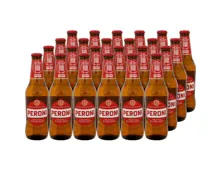 Peroni Bier 24 x 33 cl Flasche