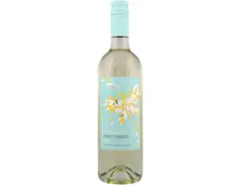 Pinot Grigio DOC Fior di Papione (2025) – Weisswein, Italien (0.75l)