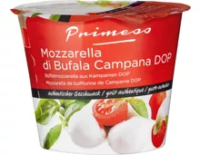 Primess Büffelmozzarella aus Kampanien DOP