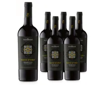 Primitivo di Salento IGP Sassi d'Oro Antonini 2022 6x75cl