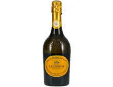 Prosecco di Valdobbiadene Docg Gioiosa Extra Dry – Schaumwein, Italien (0.75l)
