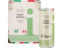 Provincia di Pavia IGT Pinot Grigio, Dose 4x25cl – Weisswein, Italien (1l)