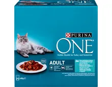 Purina ONE Adult Katzenfutter Zarte Stückchen in Sauce