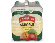 Ramseier Naturaplan Bio Apfelschorle 6x1,5l