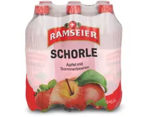 Ramseier Schorle Sommerbeeren 6x50cl