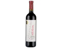 Ribera del Duero DO Tempranillo Roble Pata Negra (2023) – Rotwein, Spanien (0.75l)