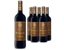 Rioja DOCa Reserva Montes de Ciria 6x 75cl (2020) – Rotwein, Spanien (0.75l)