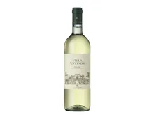 Ripasso della Valpolicella Lo Trago, Accordini