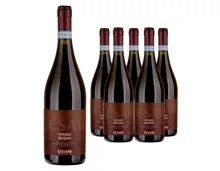 Ripasso della Valpolicella Superiore DOC Bosan Cesari 6x 75cl (2020) – Rotwein, Italien (0.75l)