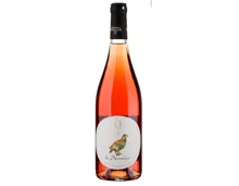 Rosato di Merlot La Pernice (2023) – Roséwein, Schweiz (0.75l)