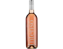 Rosé Intenso La Côte (2025) – Roséwein, Schweiz (0.75l)
