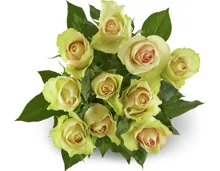 Rosen Grande, Fairtrade