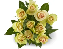 Rosen Grande, Fairtrade