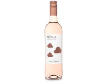 Rueda DO Verdejo Nebla Rose Vicente Gandía (2025) – Roséwein, Spanien (0.75l)