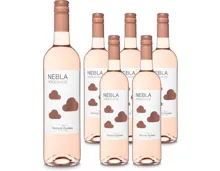 Rueda DO Verdejo Nebla Rose Vicente Gandía 6x 75cl (2025) – Roséwein, Spanien (0.75l)