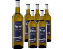 Rueda DO Verdejo Protos Eco 6x 75cl (2023) – Weisswein, Spanien (0.75l)