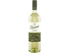 Rueda Verdejo (2024) – Weisswein, Spanien (0.75l)