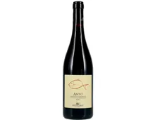 Salento IGT Primitivo Antò Hisotelaray - Libera Terra Bio (2022) – Rotwein, Italien (0.75l)