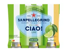 San Pellegrino Ciao Limette 6x33cl