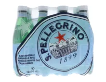 San Pellegrino mit Kohlensäure 12x50cl