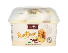 Sapori Gelato Panettone