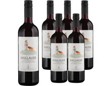 Schaffhausen AOC Hallauer Blauburgunder Weinkeller zum Stauffacher 6x 75cl (2025) – Rotwein, Schweiz (0.75l)