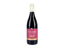 Schaffhausen AOC Pinot Noir Spätlese Goldsiegel (2023) – Rotwein, Schweiz (0.75l)