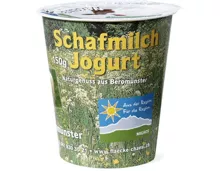 Schafmilch Jogurt Nature