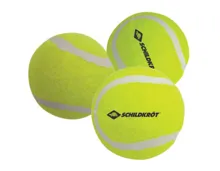 Schildkröt Tennisbälle Set (3 Stück)