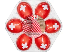 Schweizer 1.-August-Picknick-Eier