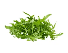 Schweizer Bio Rucola