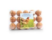 Schweizer Freilandeier 53g +