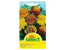 Select Sammetblume Gefüllte Mischung