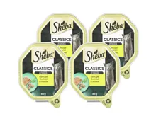 Sheba Classics Nassfutter Pastete Geflügel Cocktail 4x 85g