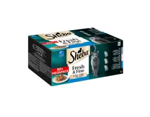 Sheba Fresh & Fine