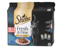 Sheba Fresh & Fine Sauce Fisch 15 x 50 g